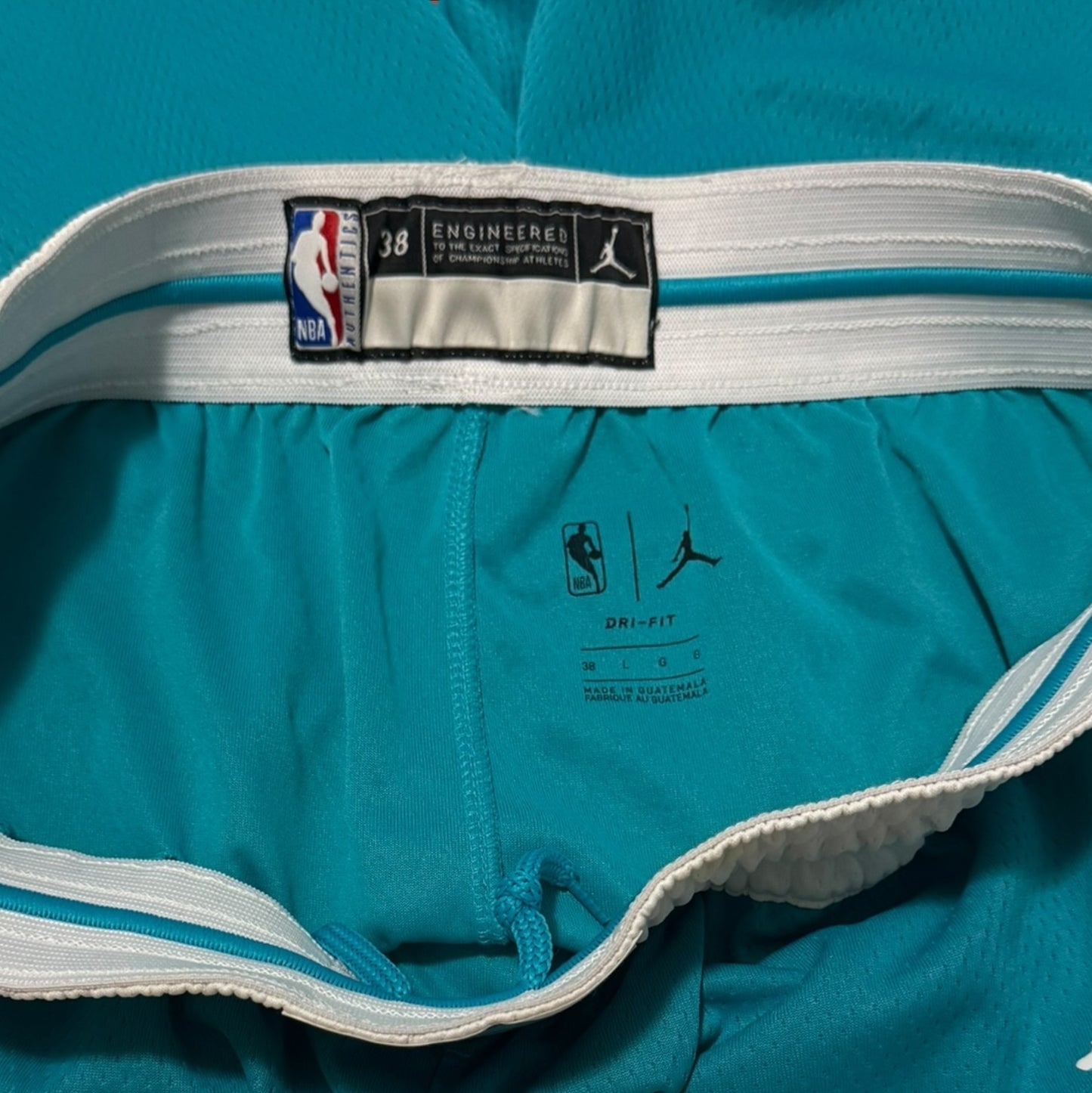 Jordan NBA Charlotte Hornets Shorts Size Large