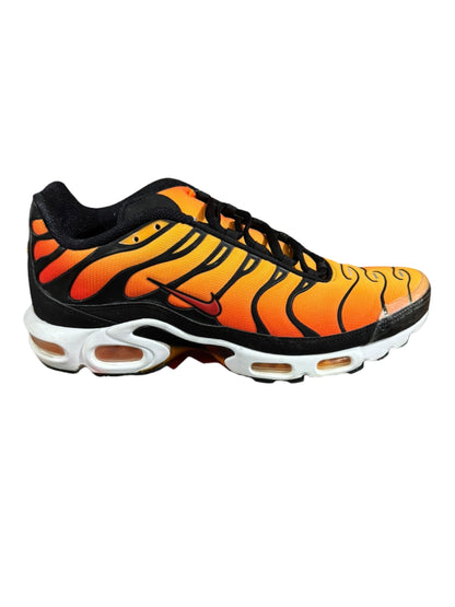 Nike Air Max Plus OG (2018) Size 11 (BQ4629 001)