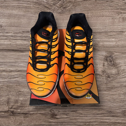 Nike Air Max Plus OG (2018) Size 11 (BQ4629 001)