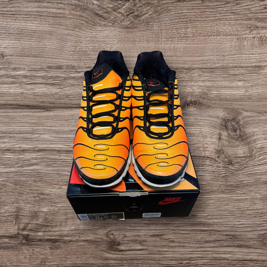 Nike Air Max Plus OG (2018) Size 11 (BQ4629 001)